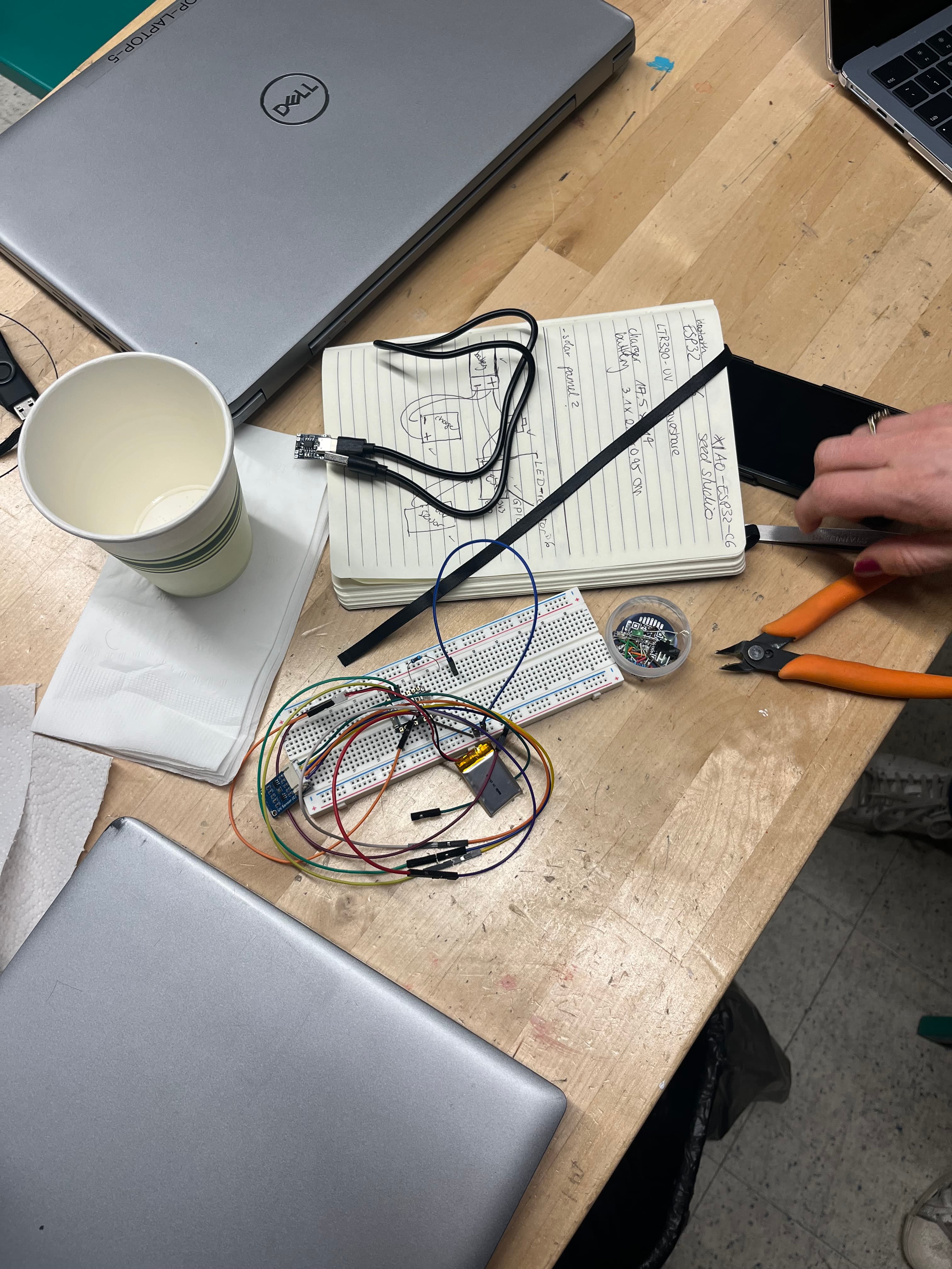 SunBuddy electronics
